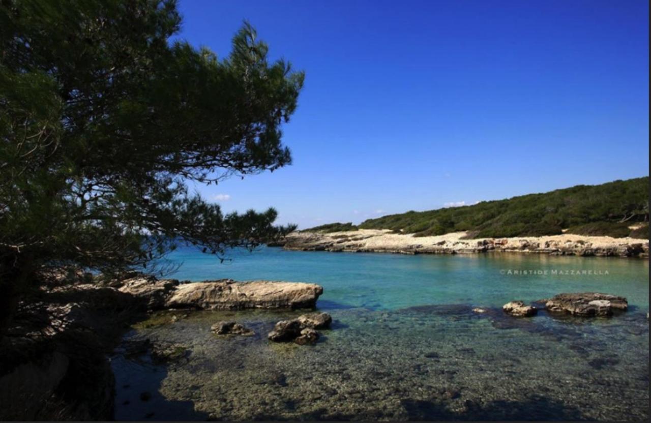 Trullo In The Wood Villa นาร์โด ภายนอก รูปภาพ
